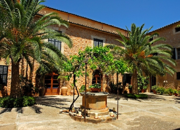 Zwischen den Palmen - Mallorca Location